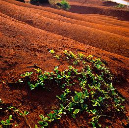 《刺客信条：RED》开发截图泄露 证实双主角